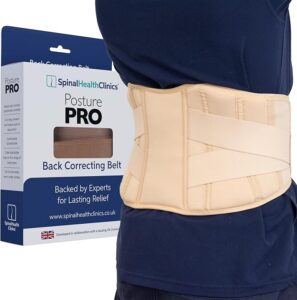 Image of Back Support